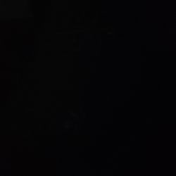 Vegas X -Pandamaster-Riversweap