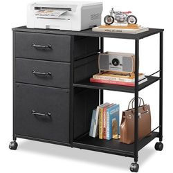 File Cabient with shelves and rolling wheels