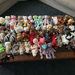 TY Beanie Baby Lot