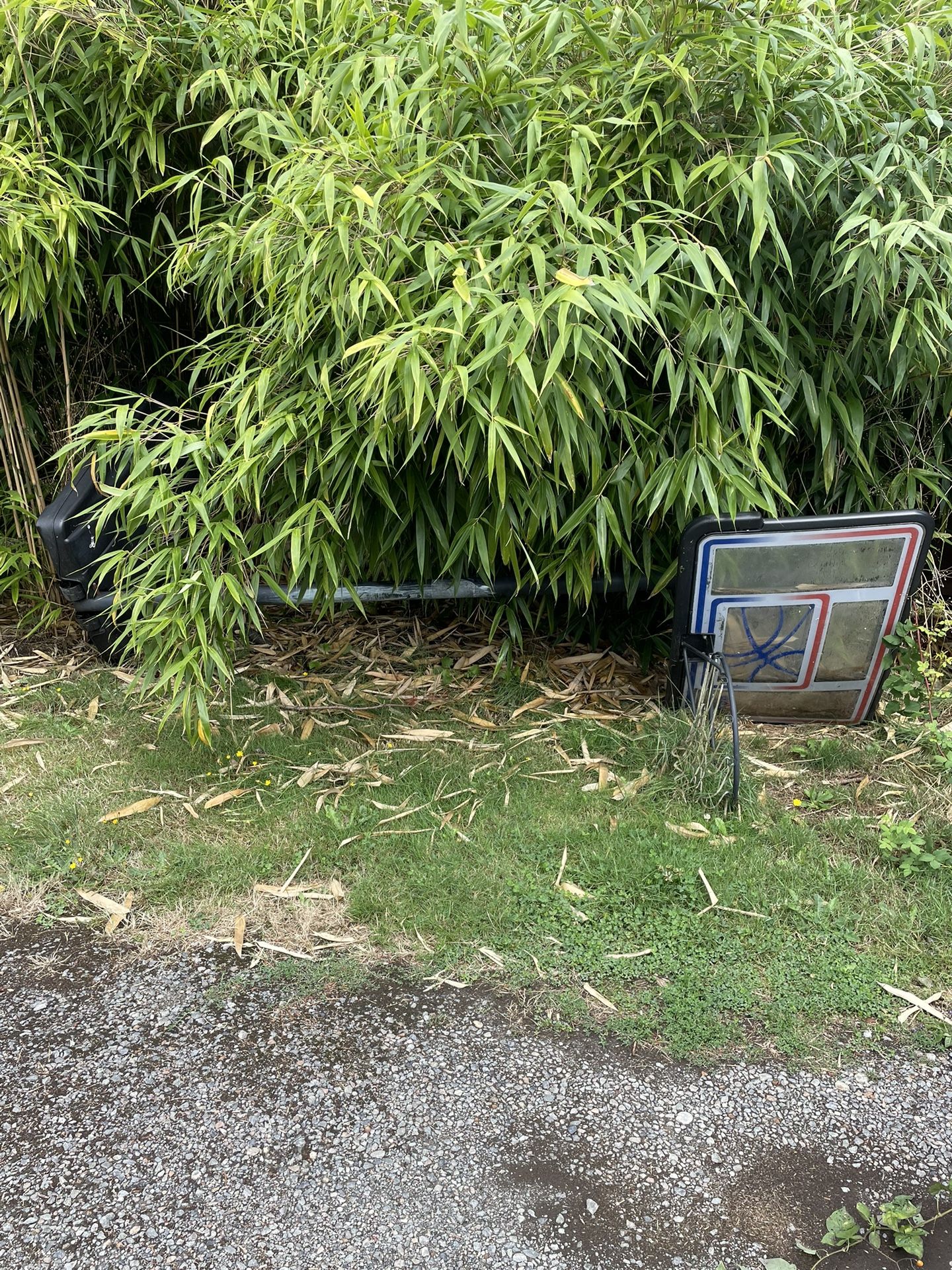 Basketball Hoop