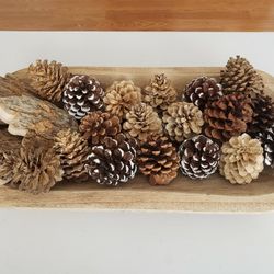 Pinecones.  