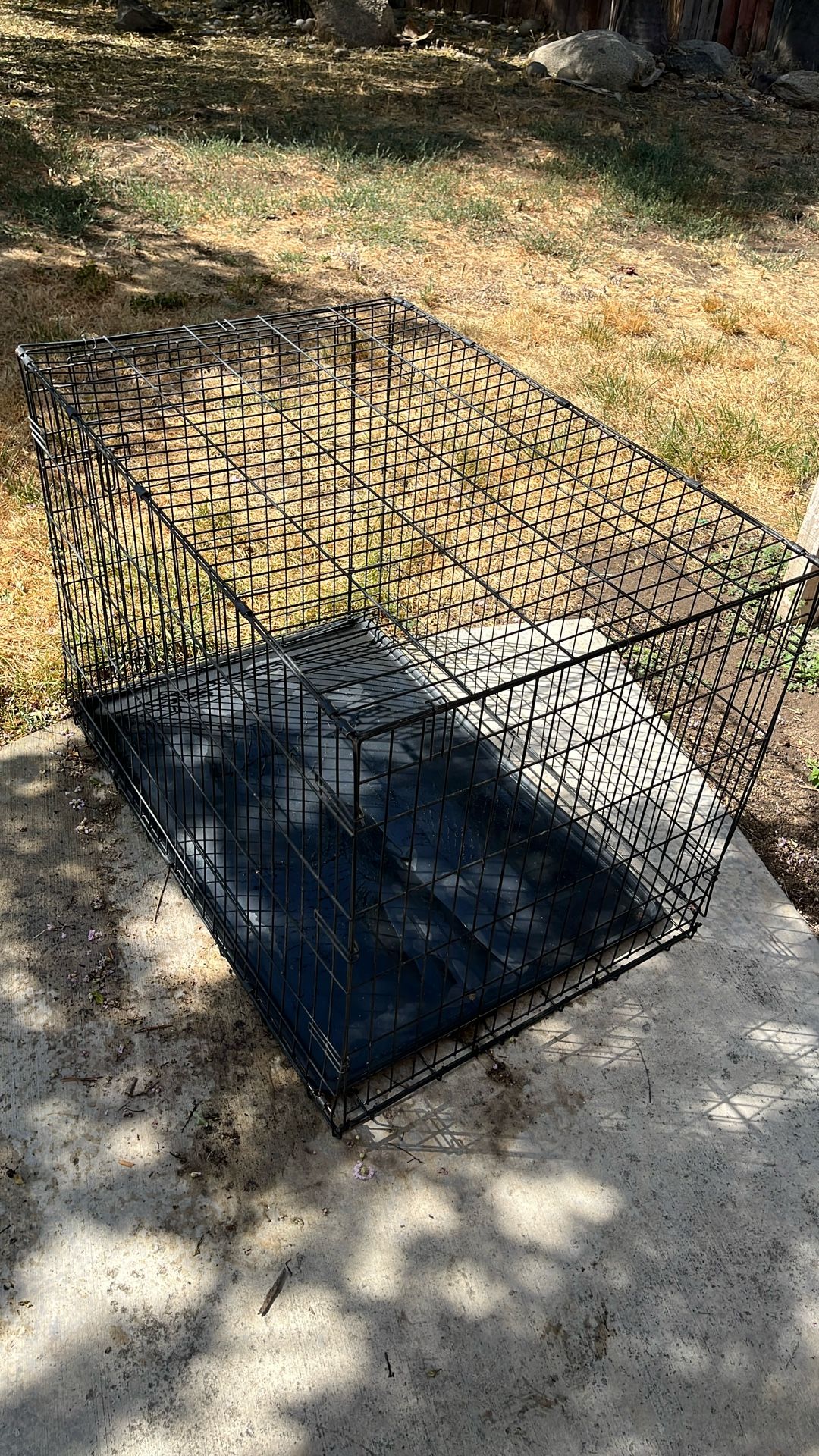 Black Dog Kennel