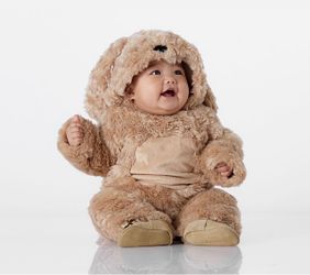 Pottery Barn Labradoodle Dog Costume