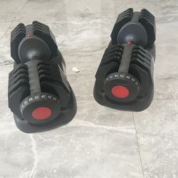 Ethos Adjustable Dumbbell 50lb Pair Total 100lb
