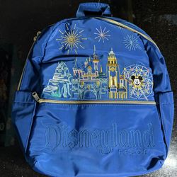Disneyland Adventure Park Backpack 