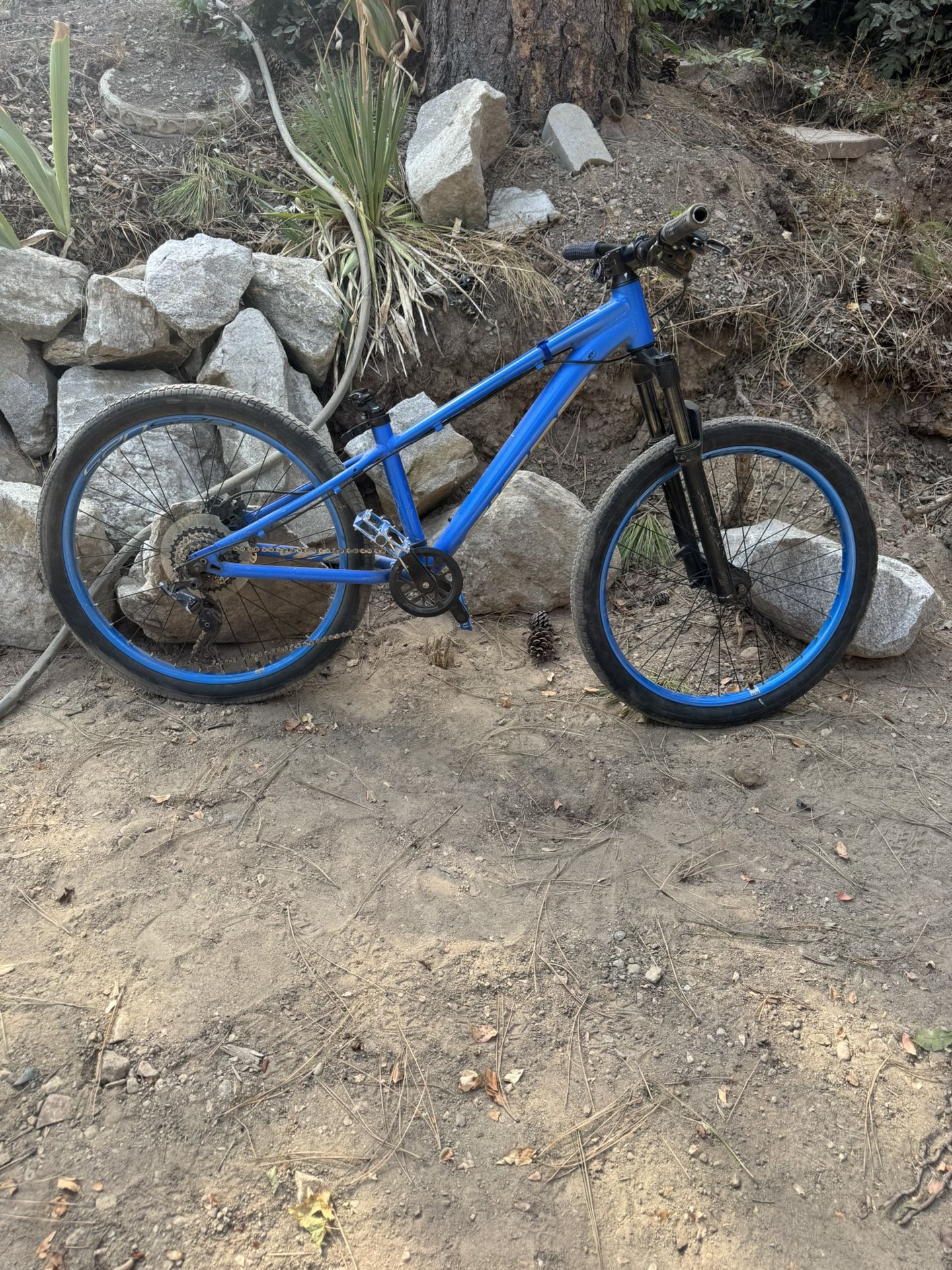 24” Giant STP