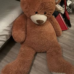 Big Teddy Bear 