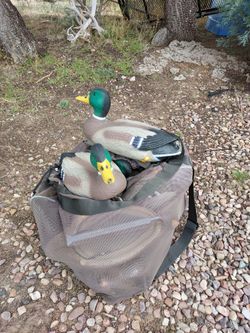 Duck Decoys