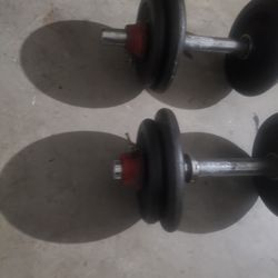 Weight 
