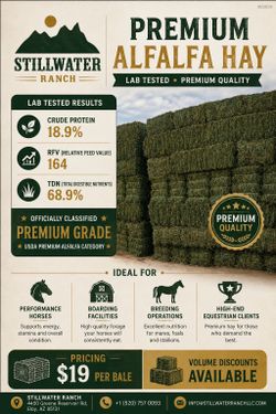 Alfalfa premium