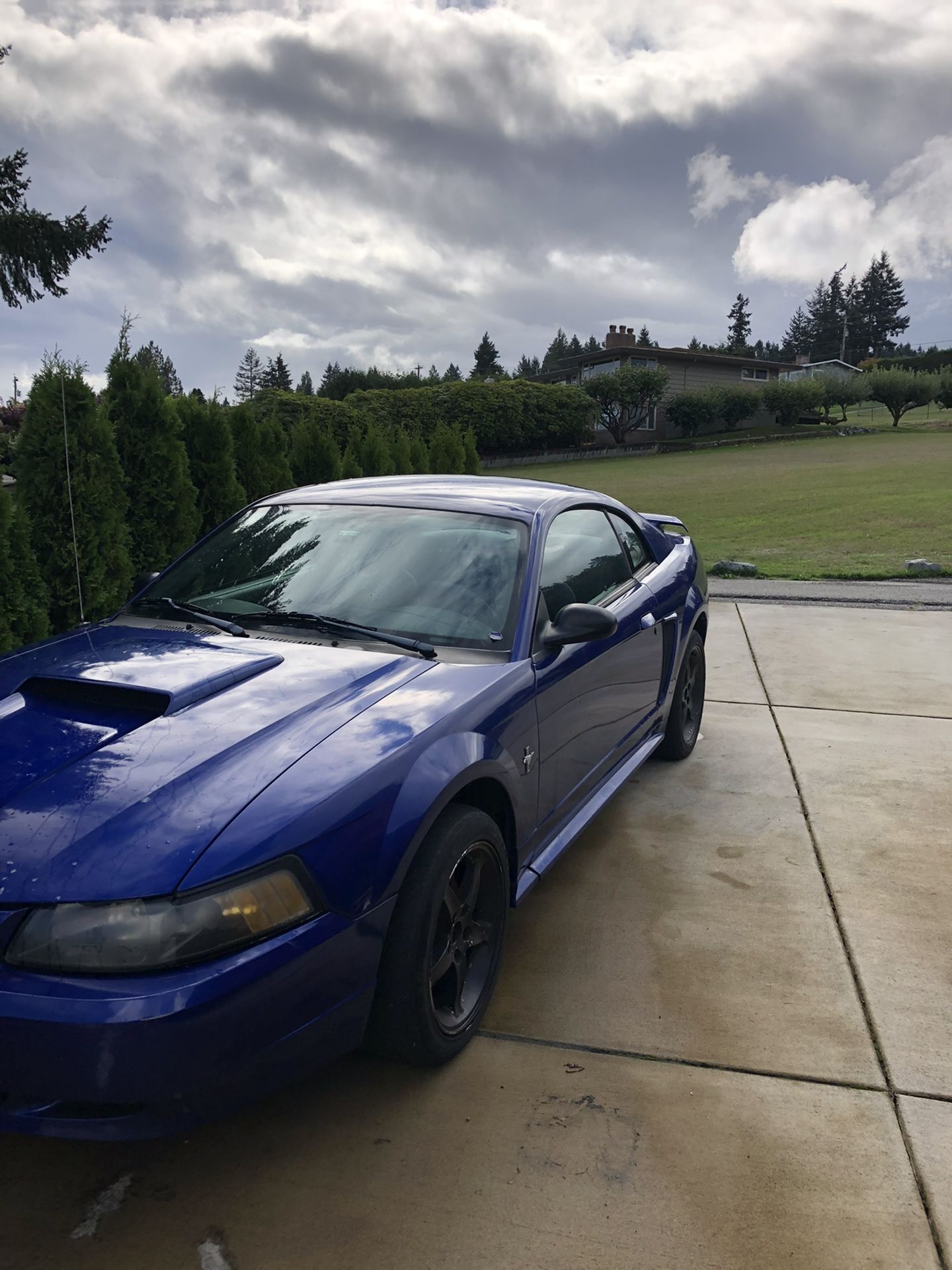 2003 Ford Mustang