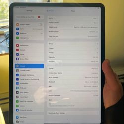 Ipad Pro 5th Gen 12.9" (256Gb, cellular) +Magic Keyboard Bundle!