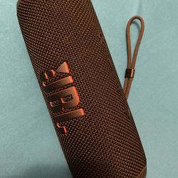 JBL Flip 6