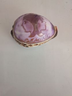 Gemini Catalina Sea Shell