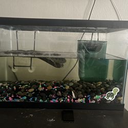 25gal Tank With Rocks, Decks, And Filter