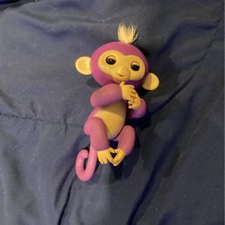 Fingerling Purple Monkey