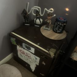 Mini Fridge 