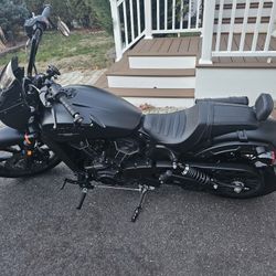 Indian Scout Rogue 2023