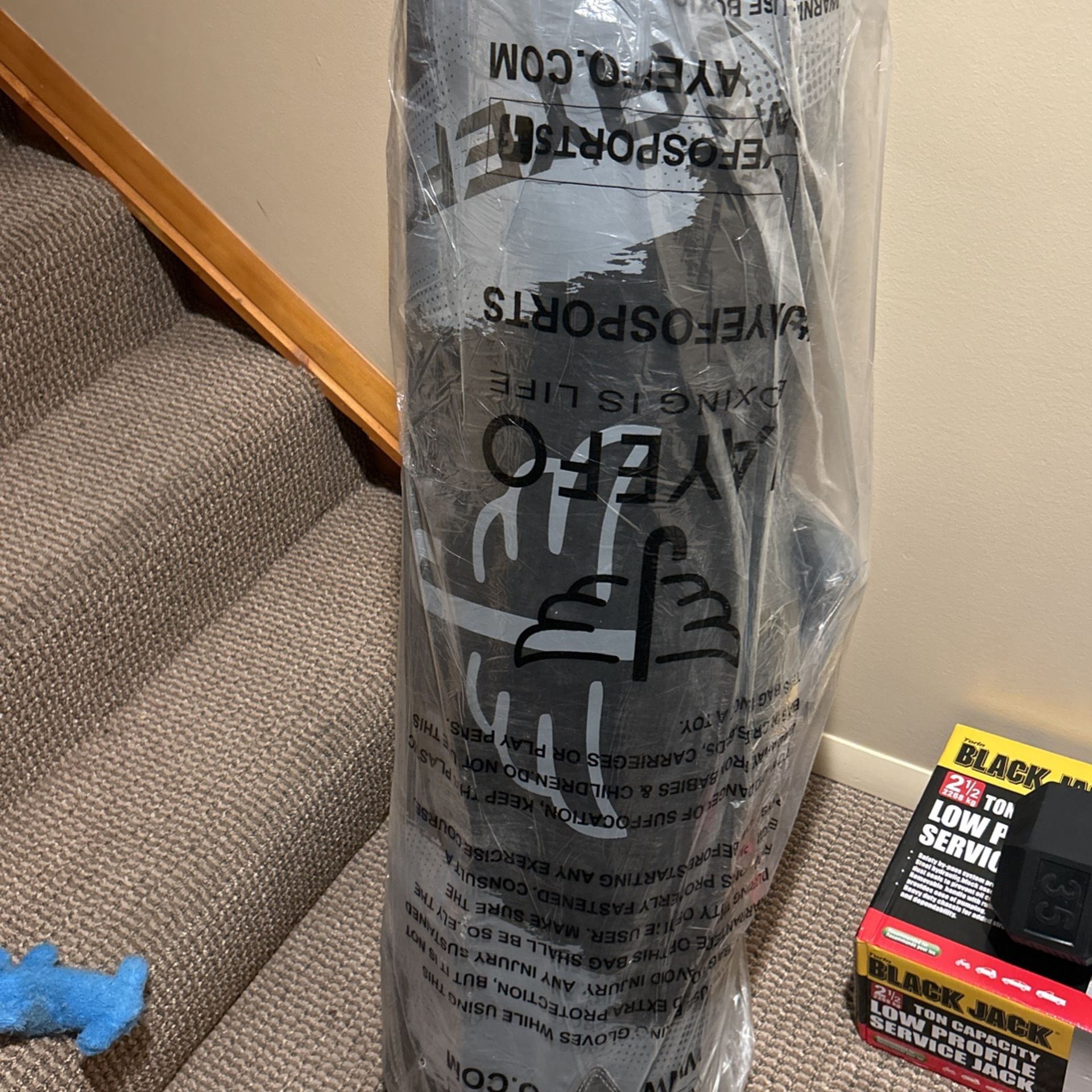 Punching Bag