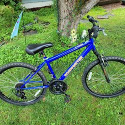 Roadmaster 24 Inch Granite Peak