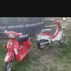 Suzuki moped sale for sale