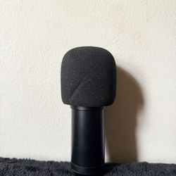 Microphone.