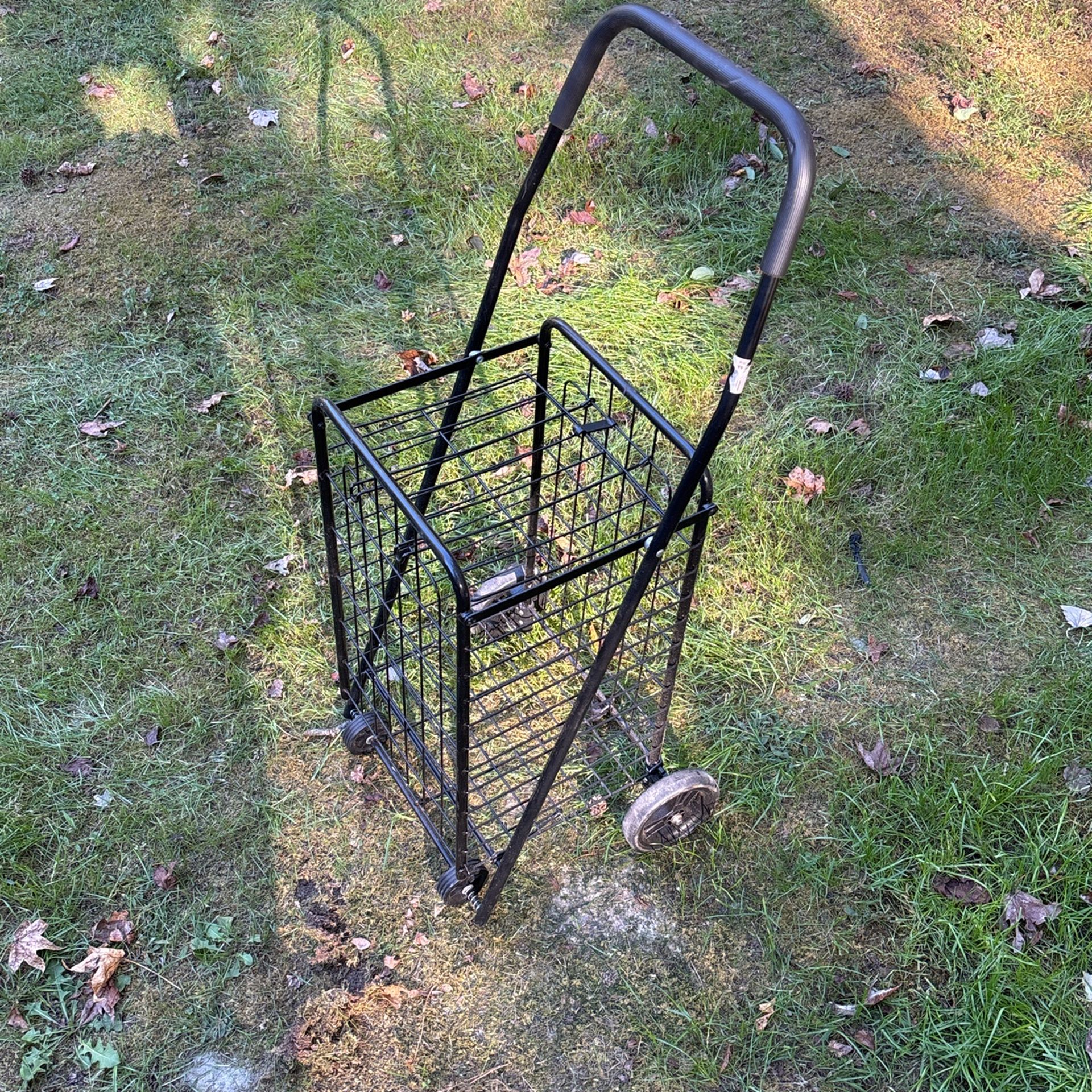 Shopping Buggy