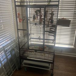 Bird Cage And Accessories 