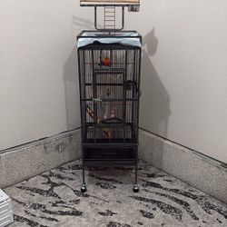 Bird Cage 