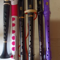 4 Recorders & 2 Flutes