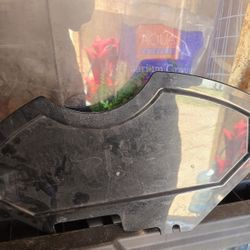 5 Gallon Fish Tank 