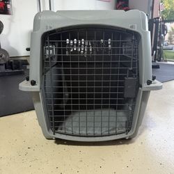 Dog Kennel 