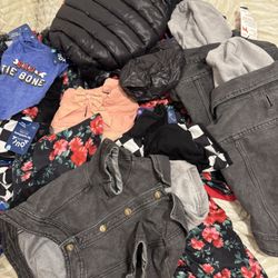 Lot Of 14 New, Assorted Dog Clothes 