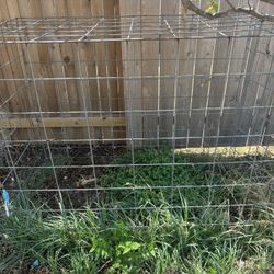 Animal Cage