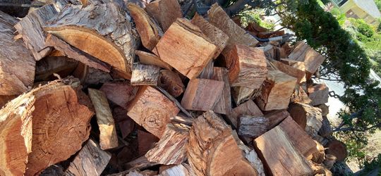Cut firewood