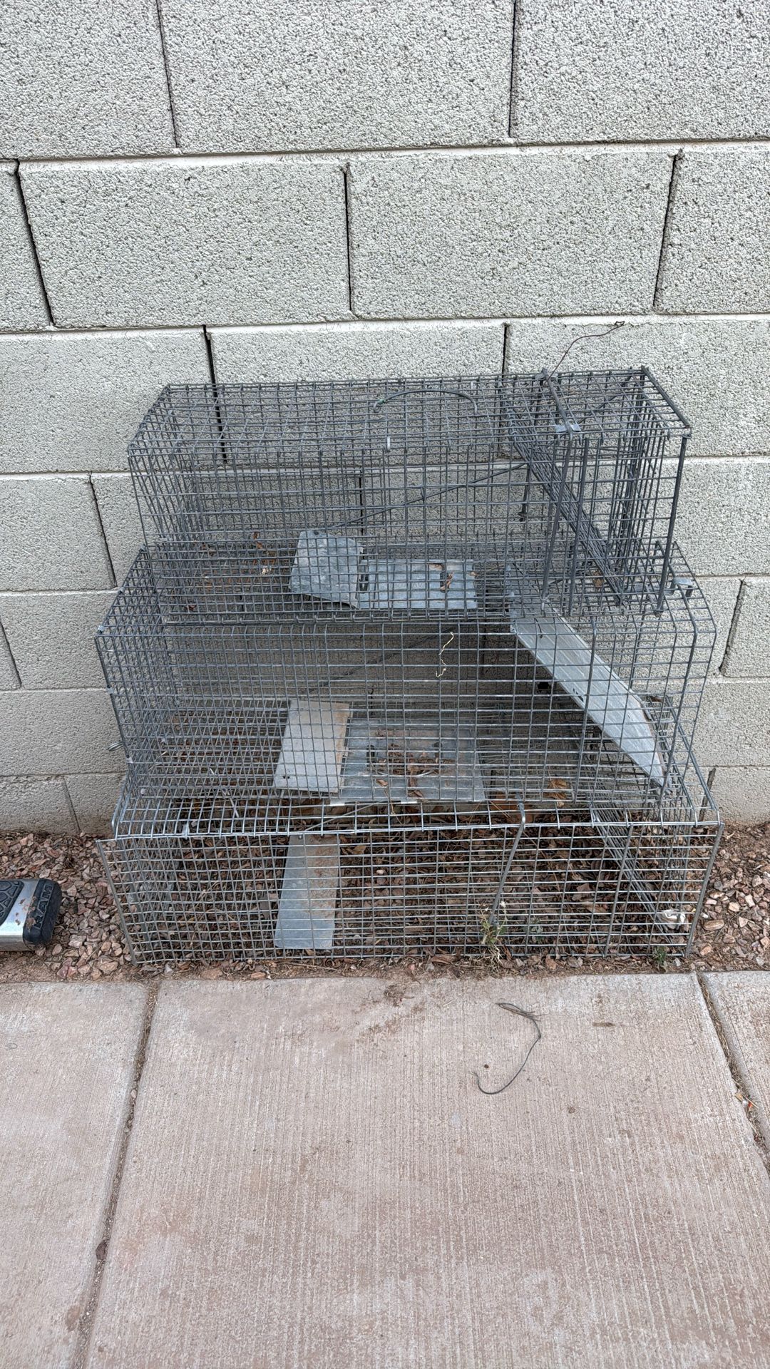 Large Rodent/Animal Traps