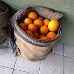 Morrales De Naranja 85 Libras Cada Uno 15$.  Bag Of Oranges 85 Pound  15$  Each