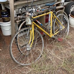 Vintage 10 Sped Bikes