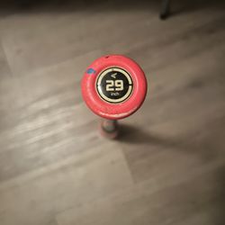 easton Baseball Bat 