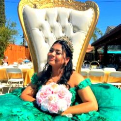 Wedding & Quince Throne Chair!!!