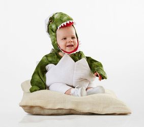 Pottery Barn Kids Dinosaur Costume 0-6 Months