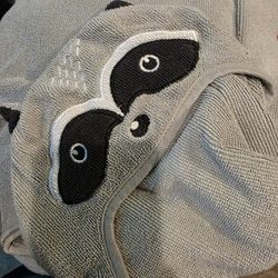 5 Kids Hooded Towels