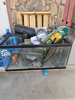 50 gallon aquarium