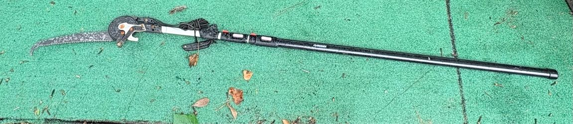 Husky 15 in. Steel Blade with 16-ft Telescopic Tree Pruner