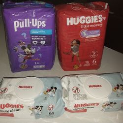 2 BAG AND 2 WIPES $25 