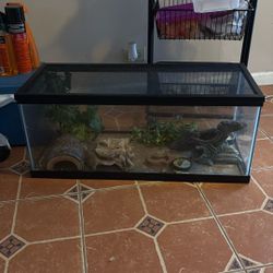 reptiles tank