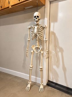 Skeleton for Halloween Decor