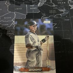 craig biggio baseball card