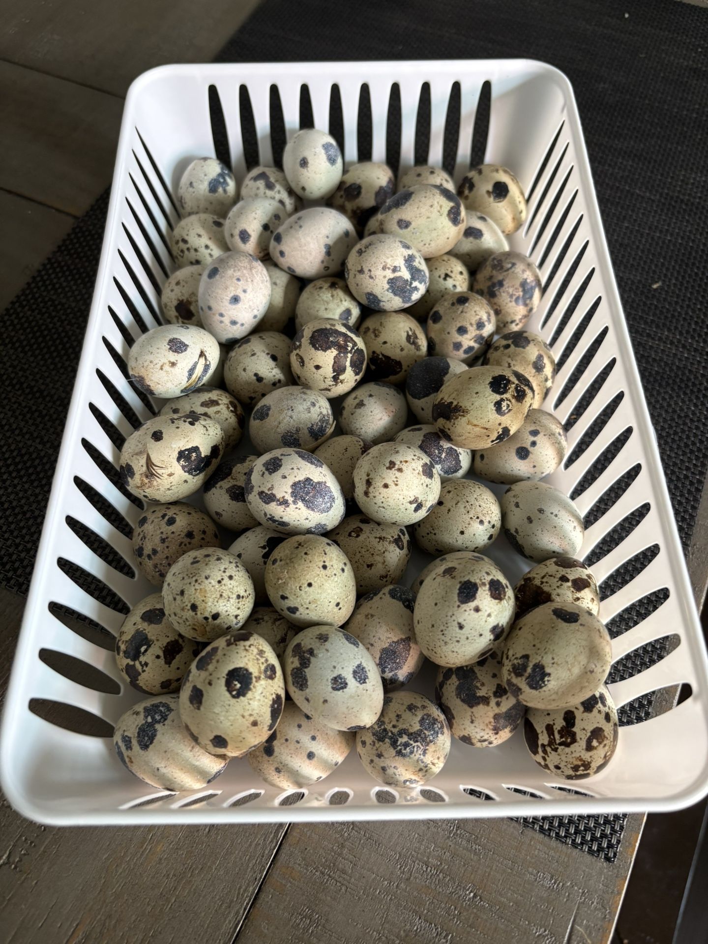 Quail Eggs