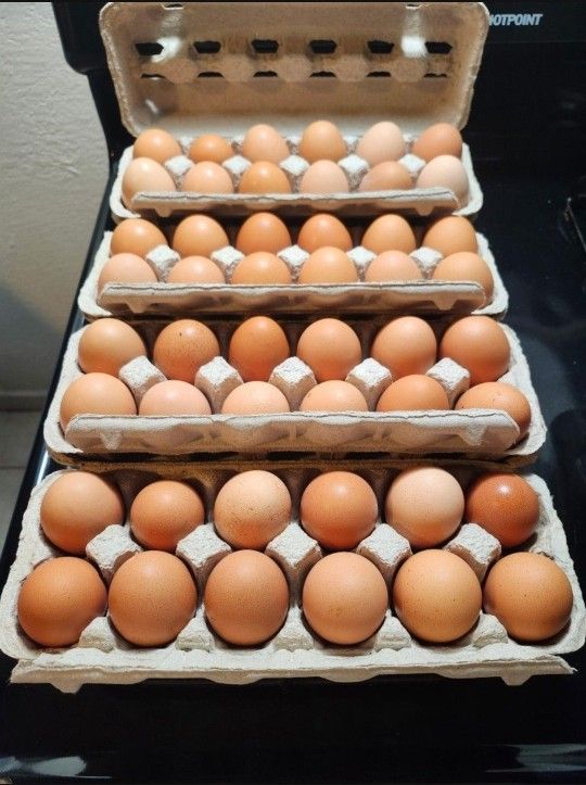 Organic Eggs